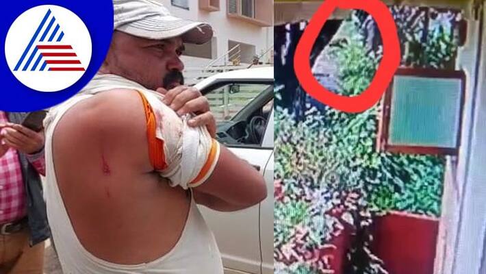 leopard entered belagavi city attack on construction workers gvd leopard entered belagavi city attack on construction workers gvd