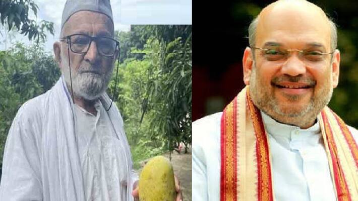 haji kalimullah khan names new mango Variety as amit shah aam haji kalimullah khan names new mango Variety as amit shah aam