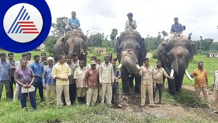 Mysuru district administration appeals for grand Dussehra celebration gow Mysuru district administration appeals for grand Dussehra celebration gow