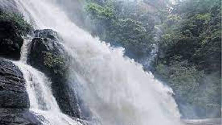 Allowed to bath in Kutralam main falls Allowed to bath in Kutralam main falls