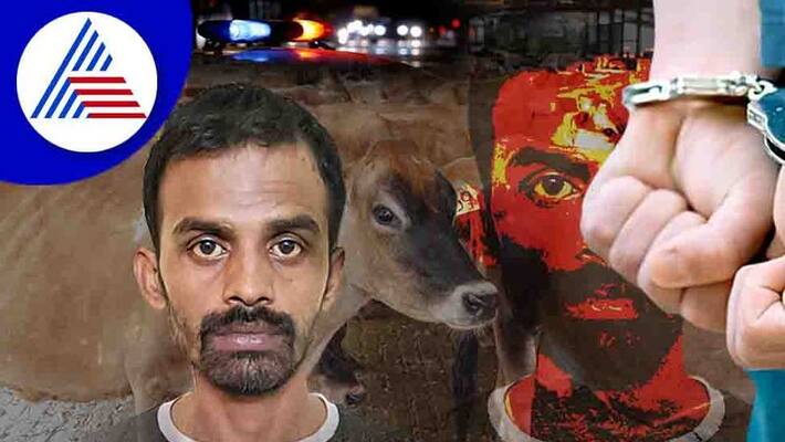 Psychopath arrested for perverting cow banglore rav Psychopath arrested for perverting cow banglore rav