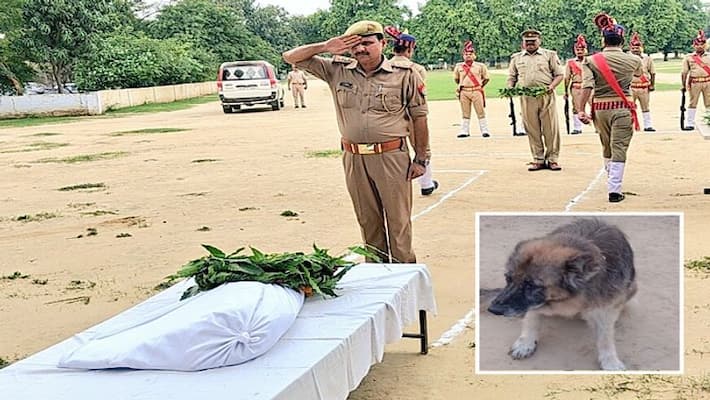 Gonda police dog squad oli died police officer give state honour Gonda police dog squad oli died police officer give state honour