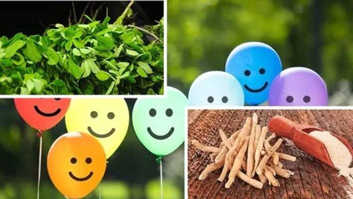 7 Amazing Herbs To Increase Happy Hormones Vin 7 Amazing Herbs To Increase Happy Hormones Vin