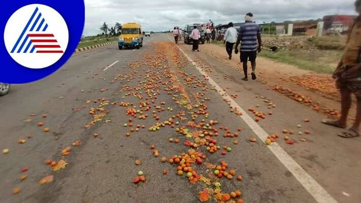 tomato price fall chitradurga farmers dump tomatoes on roads gow tomato price fall chitradurga farmers dump tomatoes on roads gow