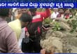 rain Effect Man Dies After tree felling In Hassan rbj