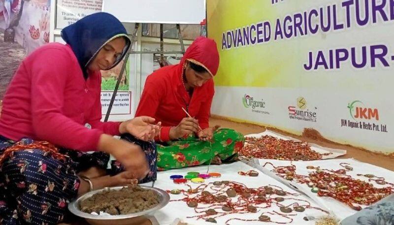60000 Cow Dung Rakhis Made in Jaipur to Be Exported to America & Mauritius bpsb