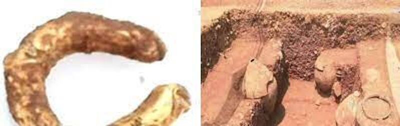 Gold bronze found in Adichanallur excavation