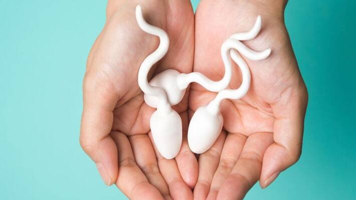 lesbian couple mixed sperm donated by three man for beby in Australia NTP lesbian couple mixed sperm donated by three man for beby in Australia NTP