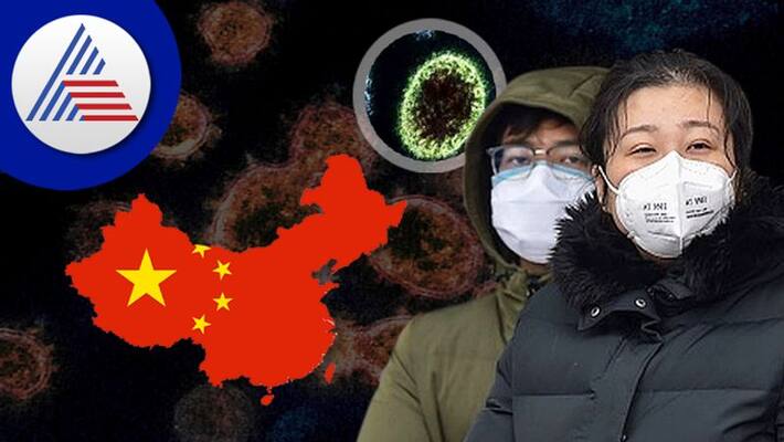 No Treatment to New Zoonotic Langya Virus grg No Treatment to New Zoonotic Langya Virus grg