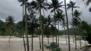 kerala news live 05 november 2023 Major highlights developments rkn kerala news live 05 november 2023 Major highlights developments rkn