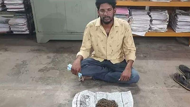 Cannabis Door Delivery in Salem... aiadmk person arrested