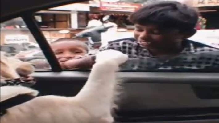 love bonding with balloon seller boy and pet dog see awesome viral video apa love bonding with balloon seller boy and pet dog see awesome viral video apa