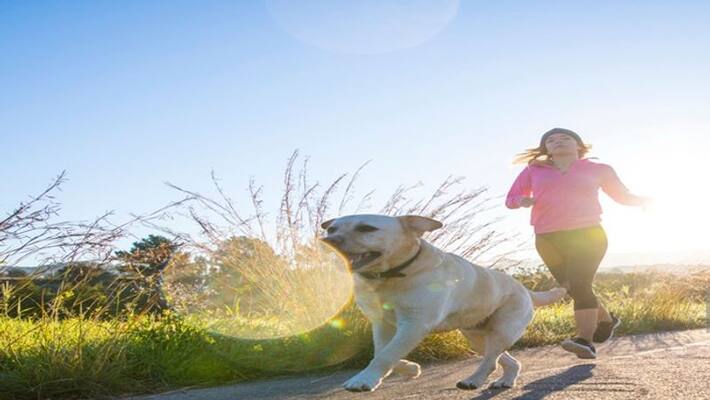 Which is better place for Exercise, park or gym Which is better place for Exercise, park or gym