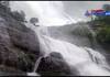 Allowed to bathe in courtallam waterfalls! Tourists are excited about the rain!
