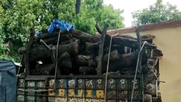 headmaster going to sell school wood theft Hardoi in this way the pole opened on the way headmaster going to sell school wood theft Hardoi in this way the pole opened on the way