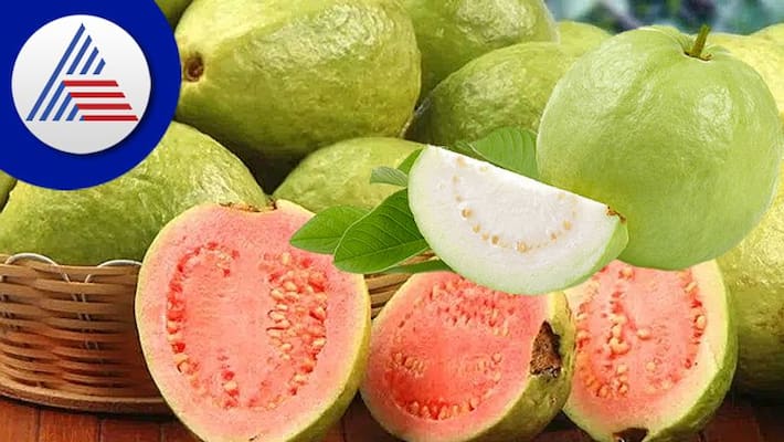 Guava Halwa Recipe Guava Halwa Recipe
