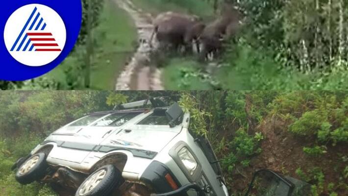 Chikkamagaluru Rebellion of wild elephants and escape of those in the car rav Chikkamagaluru Rebellion of wild elephants and escape of those in the car rav