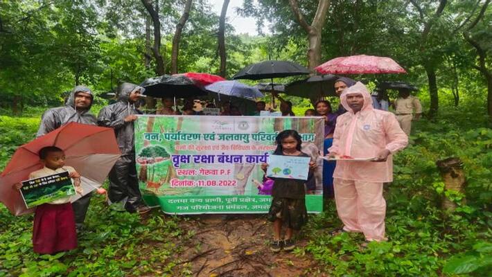 ranchi news women celebrating rakshabandhan festival by tying rakhi to tree program will continue in jharkhand state for two day sca ranchi news women celebrating rakshabandhan festival by tying rakhi to tree program will continue in jharkhand state for two day sca