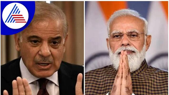 PM Narendra Modi may meet Pakistani PM Shehbaz Sharif in Uzbekistan san PM Narendra Modi may meet Pakistani PM Shehbaz Sharif in Uzbekistan san