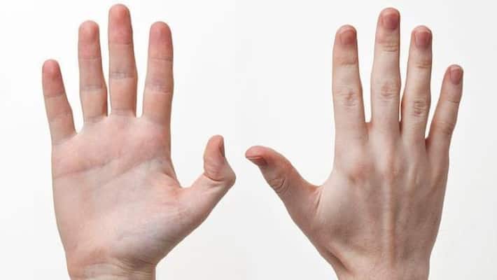 difference between right hander and left hander know who is more smart apa difference between right hander and left hander know who is more smart apa