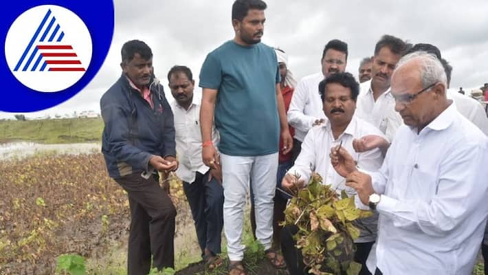 Minister Halappa Achar Says Complete The Survey Of Crop Damage From Flood Soon gvd Minister Halappa Achar Says Complete The Survey Of Crop Damage From Flood Soon gvd