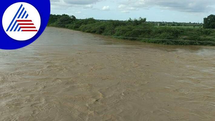 Villagers Suffer From Doni River Floods In Vijayapura gvd Villagers Suffer From Doni River Floods In Vijayapura gvd