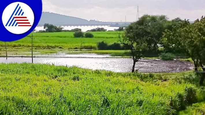 Still Flood Fear in North Karnataka grg Still Flood Fear in North Karnataka grg