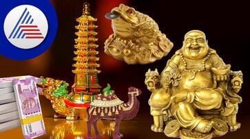 vastu and feng shui tips brings positive changes in life suh vastu and feng shui tips brings positive changes in life suh