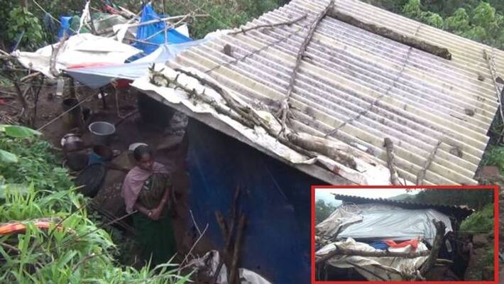 woman and three children are suffering due to the hut like home woman and three children are suffering due to the hut like home