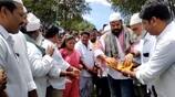YSRCP MLA Anil Kumar Yadav  Participated rottela pandaga in nellore 