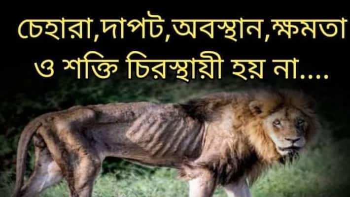 Controversial post of TMC leader Kajal Sheikh even after Anubrata Mondal's arrest on cattle smuggling case bsm Controversial post of TMC leader Kajal Sheikh even after Anubrata Mondal's arrest on cattle smuggling case bsm