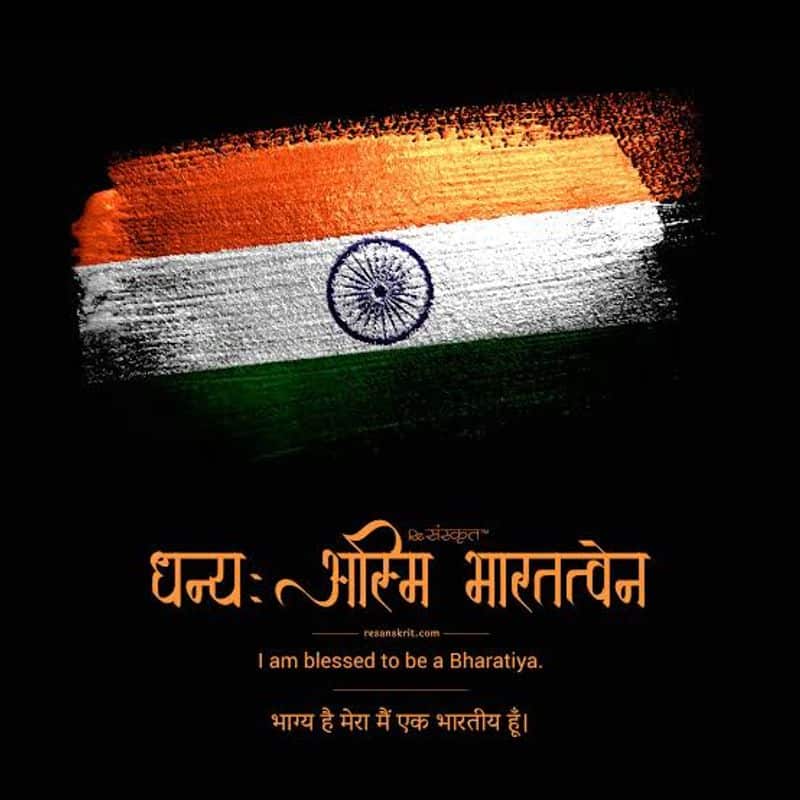 MS Dhoni updates his Instagram profile picture ahead of Independence Day.