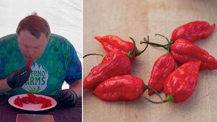 Do you know the problems caused by adding too much chili in your daily food? Do you know the problems caused by adding too much chili in your daily food?