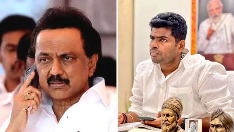 PTR Thiagarajan's ego and rhetoric are destroying Tamil Nadu's economy: BJP leader Annamalai