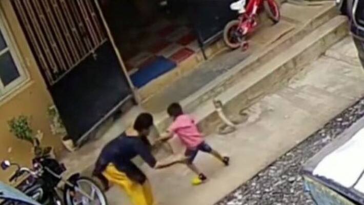 Mother Saves Child From Huge Cobra In Bone Chilling Video apa Mother Saves Child From Huge Cobra In Bone Chilling Video apa