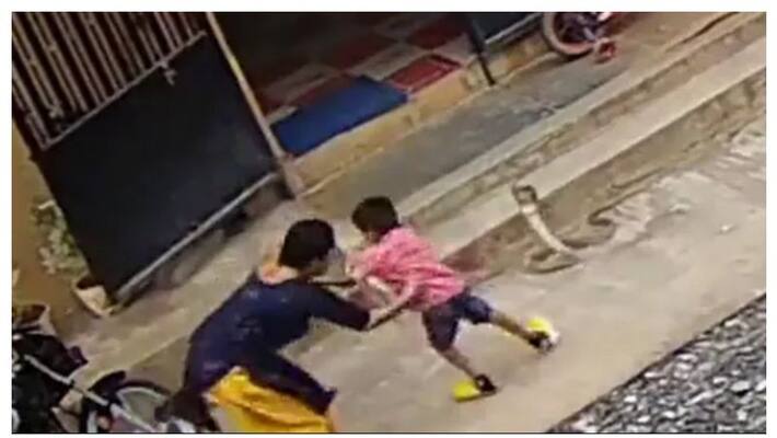 Woman In Karnataka Saving Son From Snake, video viral Woman In Karnataka Saving Son From Snake, video viral