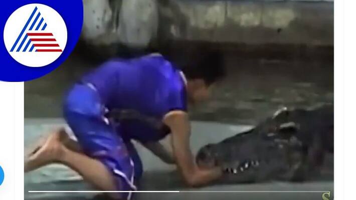 Man playing with dangerous crocodile and become single handed watch viral video akb Man playing with dangerous crocodile and become single handed watch viral video akb
