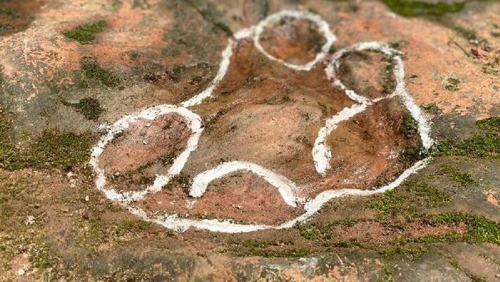 100million year old dinosaur footprint 100million year old dinosaur footprint