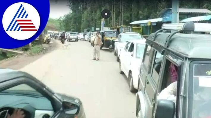 Thousands of tourists visiting to Chikkamagaluru Heavy traffic jam in Checkpost gow Thousands of tourists visiting to Chikkamagaluru Heavy traffic jam in Checkpost gow