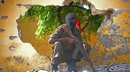 Somalia says 13 members of al Shabaab Islamist group killed in US attack 