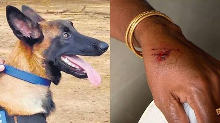 a women bitten by police dog in Idukki between the Independence day function a women bitten by police dog in Idukki between the Independence day function