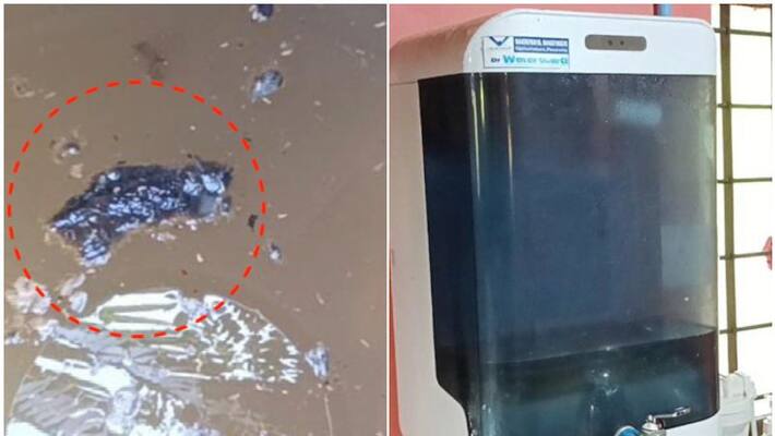 dead rats found in anganwadi water tank dead rats found in anganwadi water tank