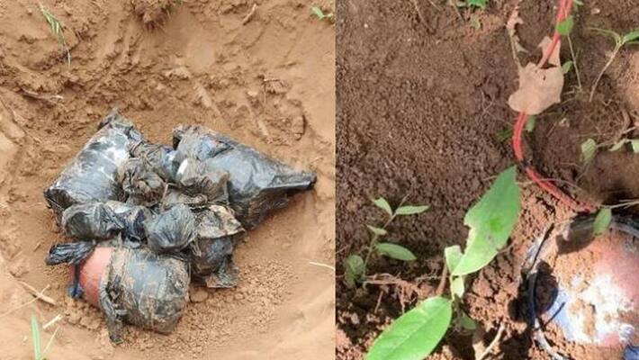 gaya news 10 IEDs Recovered From Gaya Forest Naxalites Had Planted Cylinder Bombs pwt gaya news 10 IEDs Recovered From Gaya Forest Naxalites Had Planted Cylinder Bombs pwt