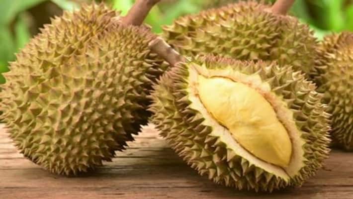 It is forbidden to carry durian fruits in public vehicles in Singapore know why NTP It is forbidden to carry durian fruits in public vehicles in Singapore know why NTP