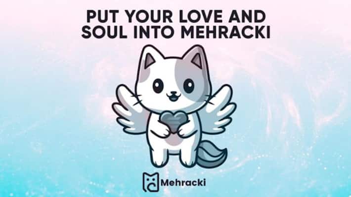 Shiba Inu, Vita Inu, and Mehracki Token - The Three Tokens Leading The Meme Coin Revolution-snt Shiba Inu, Vita Inu, and Mehracki Token - The Three Tokens Leading The Meme Coin Revolution-snt