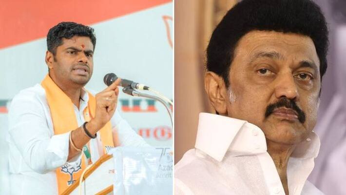 dmk govt should not deceive the public on the matter of electricity connection says annamalai dmk govt should not deceive the public on the matter of electricity connection says annamalai
