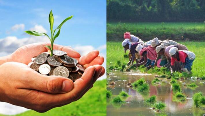 Cabinet approves interest subvention of 1.5% on short term agricultural loan Cabinet approves interest subvention of 1.5% on short term agricultural loan