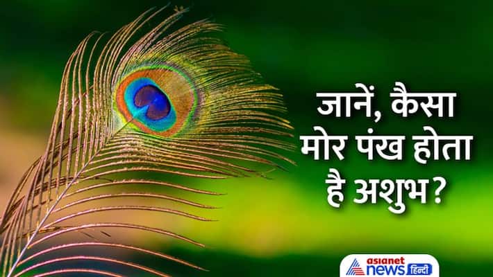 Janmashtami 2022 Remedies for Janmashtami 2022 Remedies for peacock feathers Remedies for money gain MMA Janmashtami 2022 Remedies for Janmashtami 2022 Remedies for peacock feathers Remedies for money gain MMA
