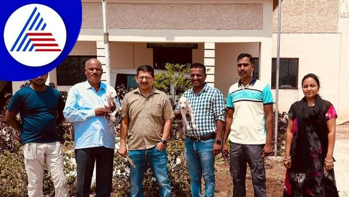 Karnataka Mudhol dogs to be inducted into PM Modi security SPG team gow Karnataka Mudhol dogs to be inducted into PM Modi security SPG team gow