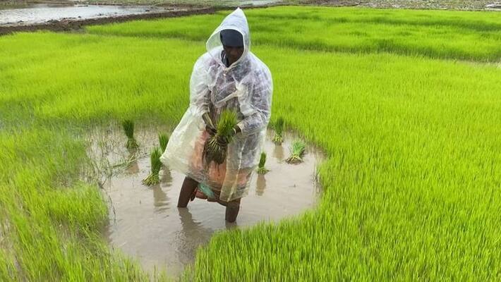 serious Action Against those Who Give Trouble To Farmers snr serious Action Against those Who Give Trouble To Farmers snr
